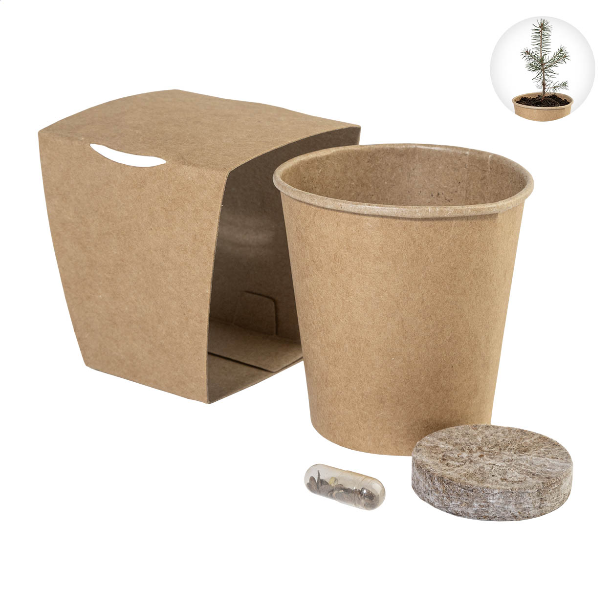 Kit per coltivare l'albero di Natale MerryGrow in busta kraft con logo stampato con logo
