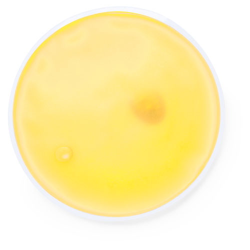 Pacco Termico Riutilizzabile - Polpenazze del Garda