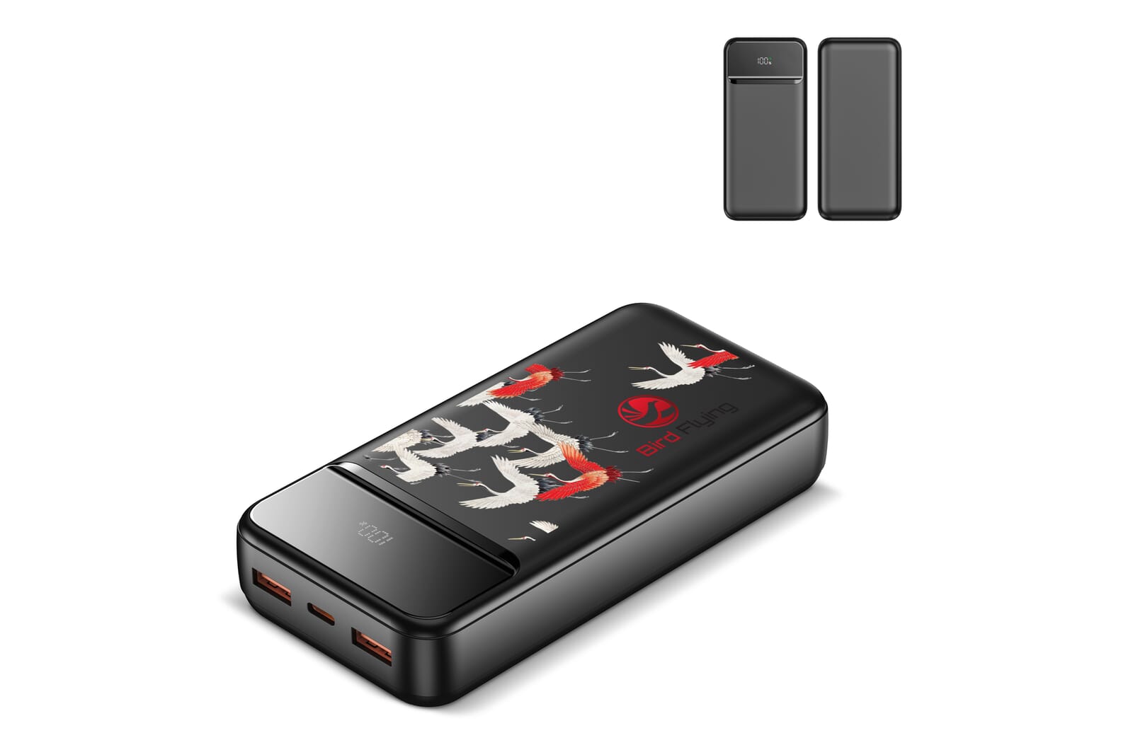 Nolu Powerbank con display LED 20000 mAh