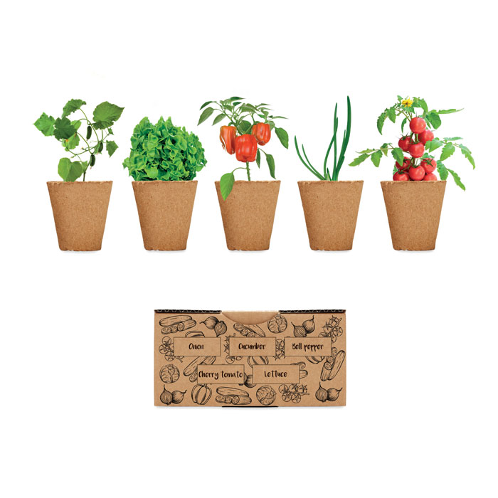Kit di coltivazione personalizzato - Sla