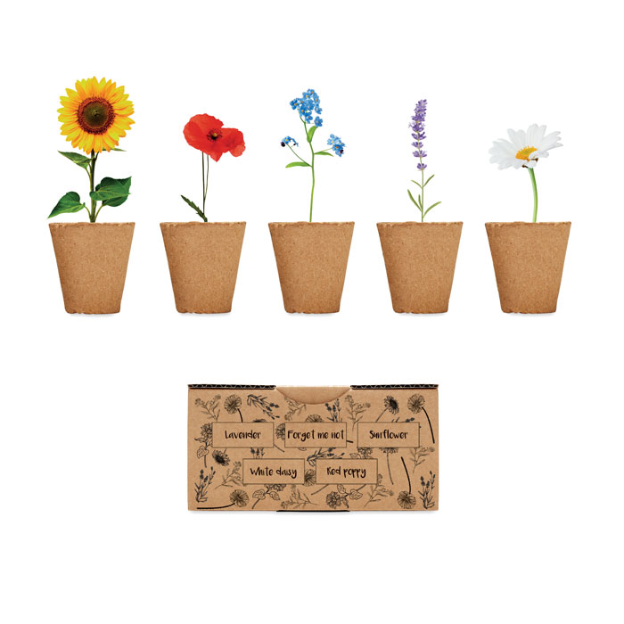 Kit di coltivazione floreale personalizzato - Blomst