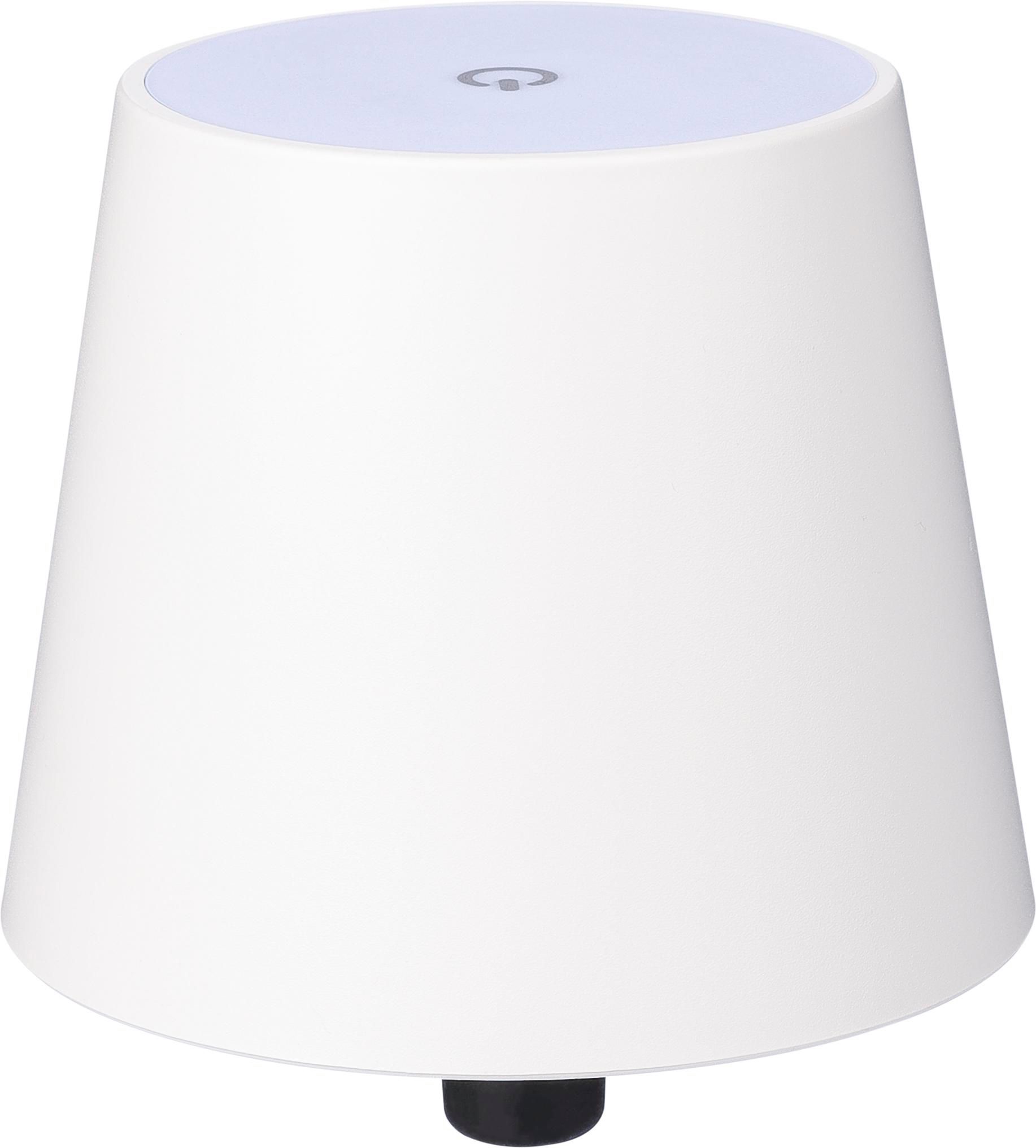 Lampada Bottiglia Magica - Capannoli