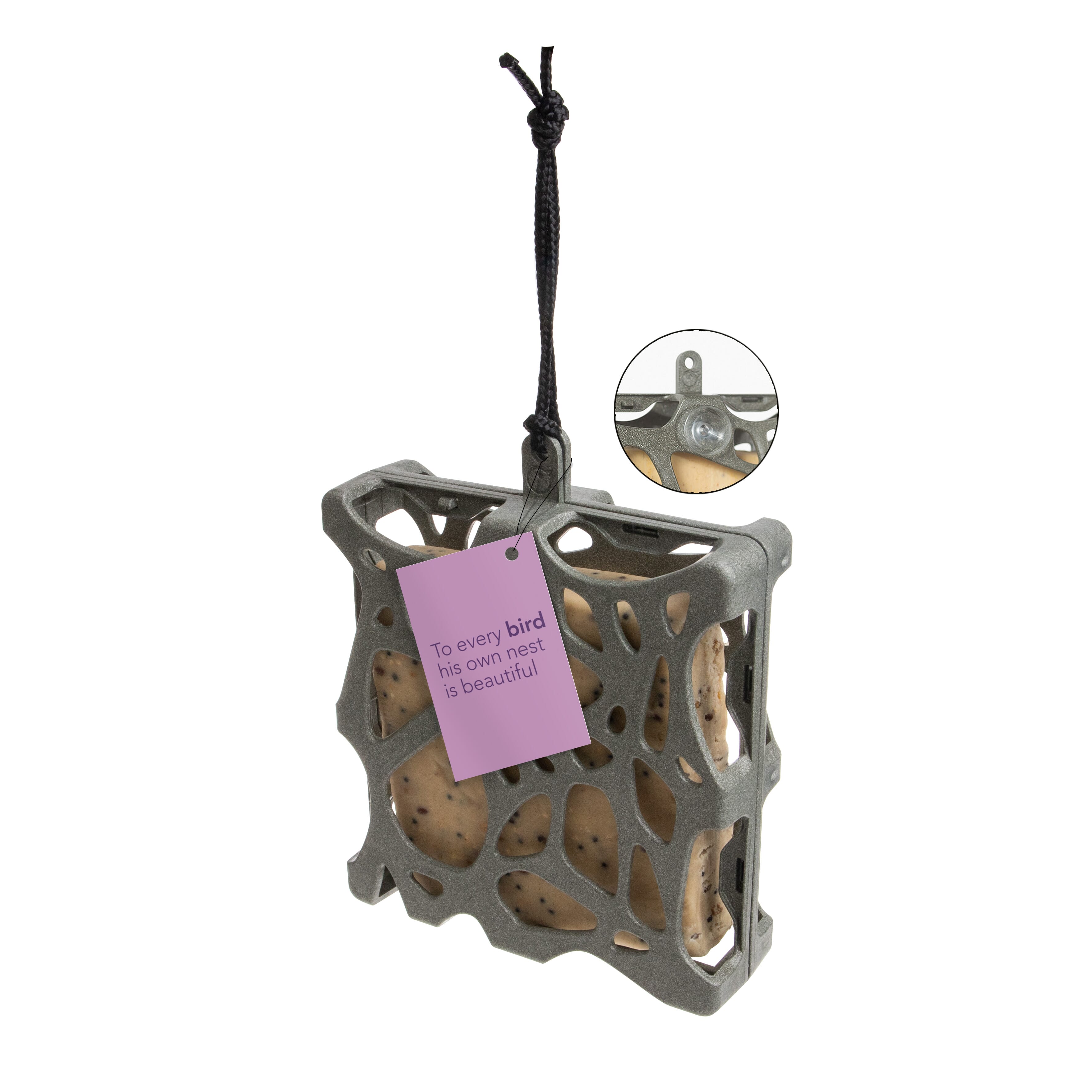 Amica Canterina Anna Eco - Campo nell’Elba