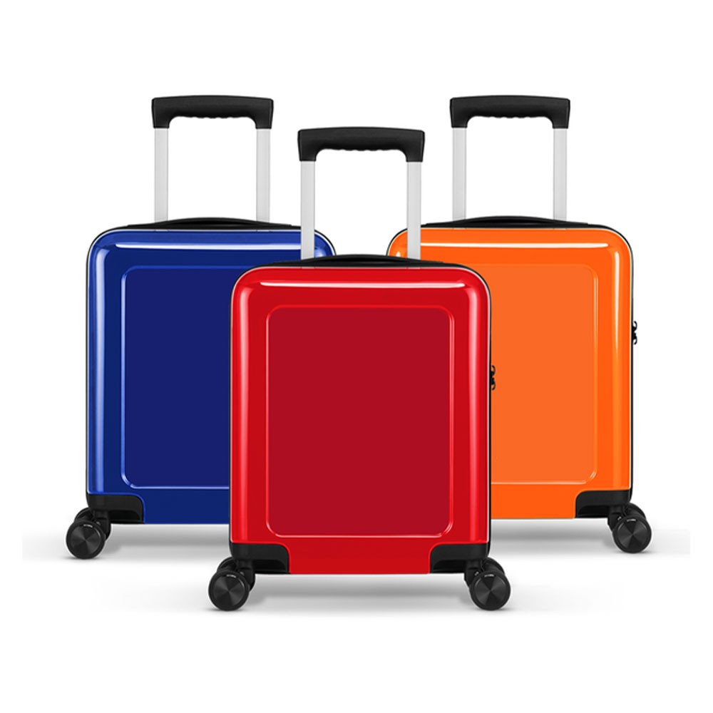 Bagaglio a Mano Mini CustomFront (45 cm) - Brockenhurst - Spinone al Lago