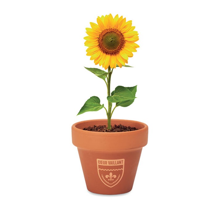 Plante personnalisée