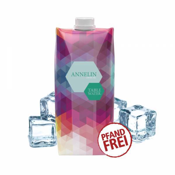 Brick Di Acqua Promozionali da Regalare durante Eventi 500ml - Carvico