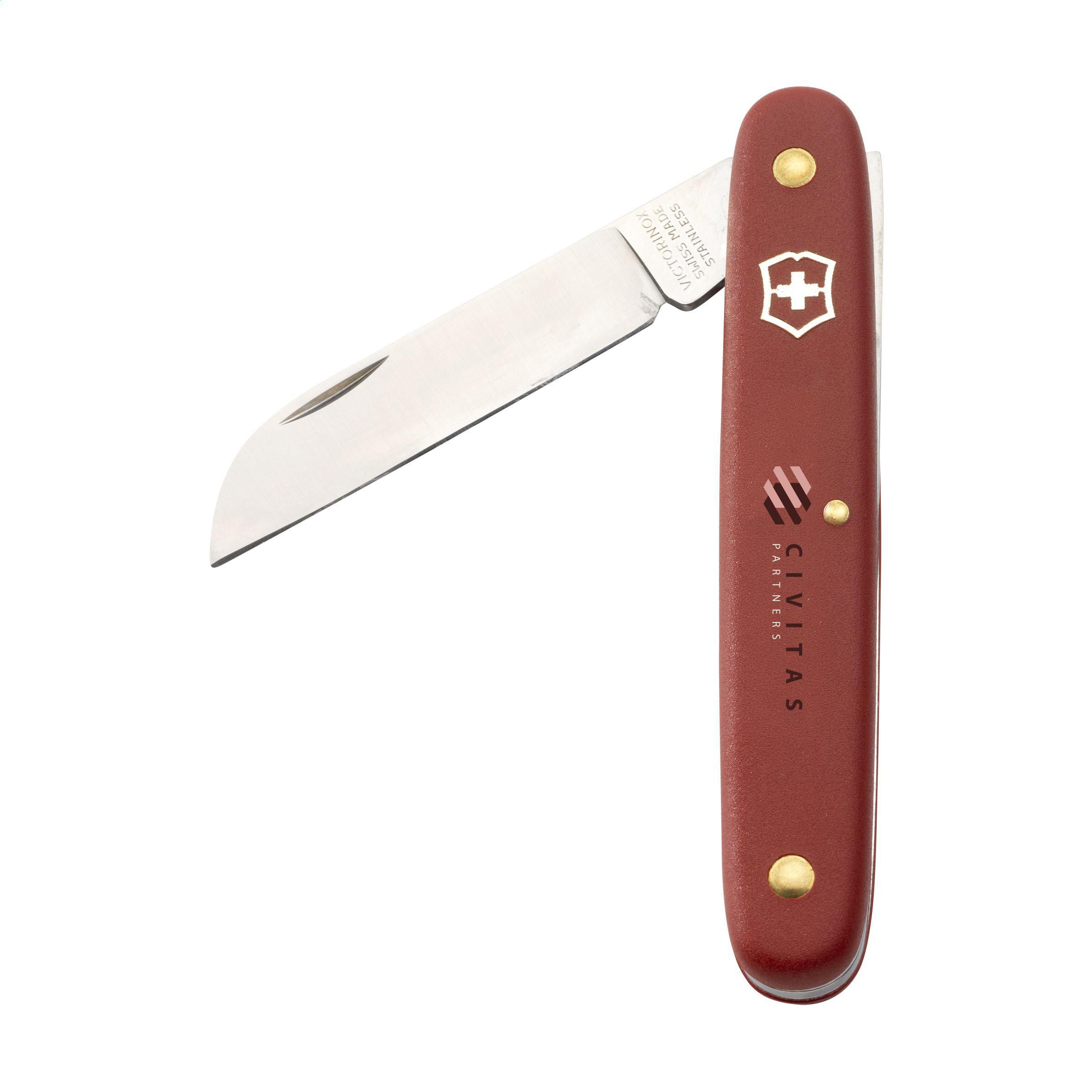 Coltello per Fiori Victorinox Ecoline