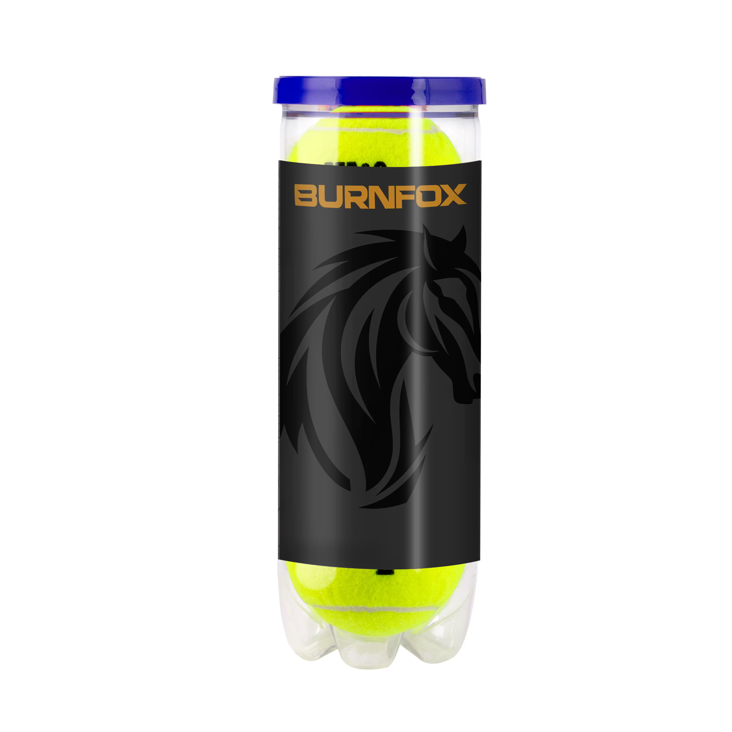 Palline da tennis Wilson Roland Garros