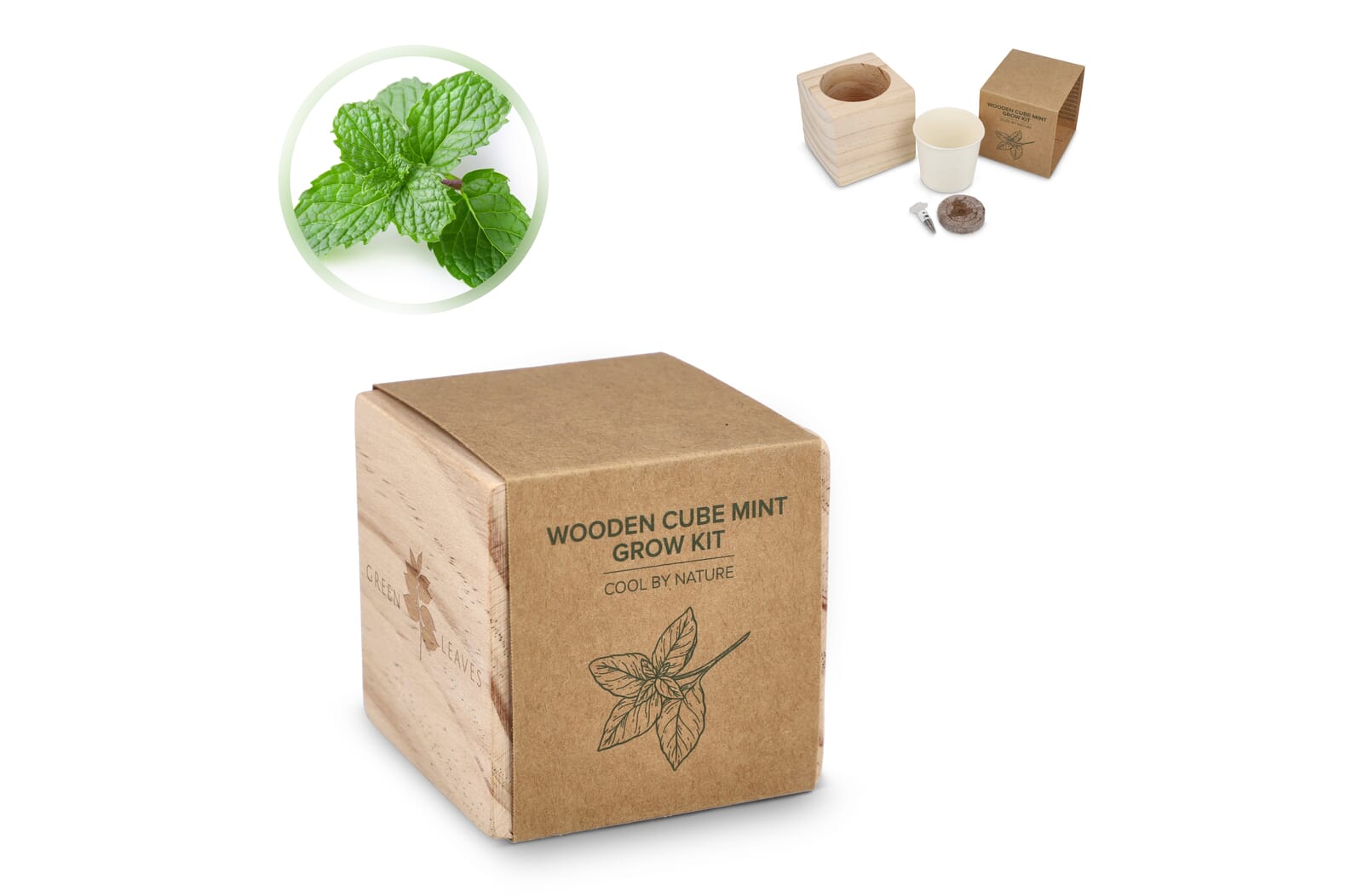 Set di fioriere in legno FSC – Menta