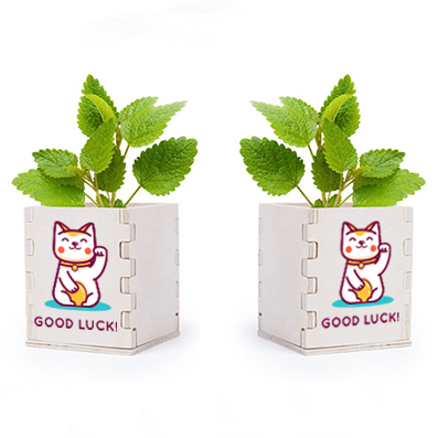 Vaso di Crescita Naturale - Calvagese della Riviera