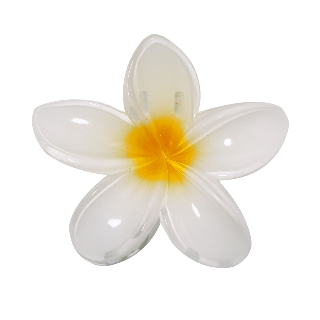Fiore di Luce - Pavia bedrukken met logo