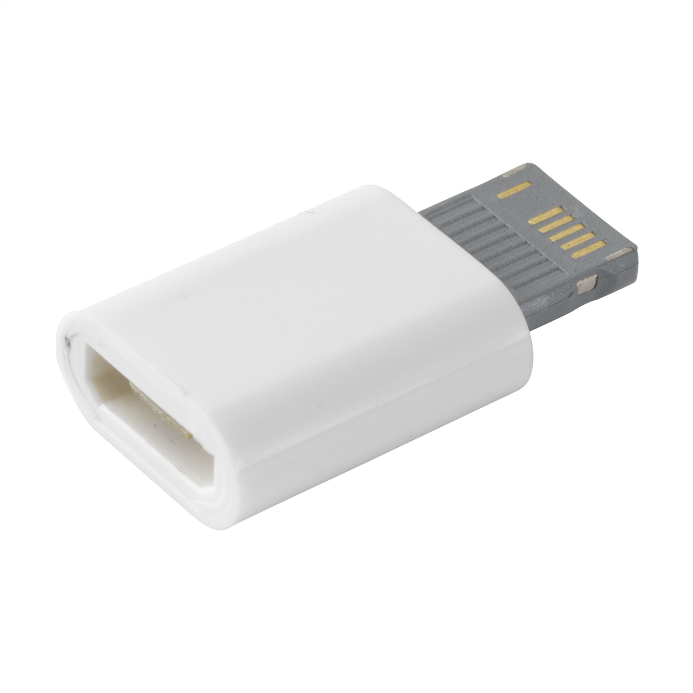 Connettore Micro-USB a Lightning - Sant'Eufemia d'Aspromonte