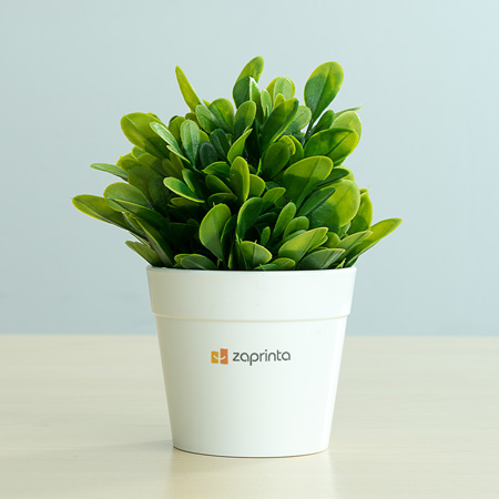 Pianta con vaso personalizzato  - | Zaprinta Italia